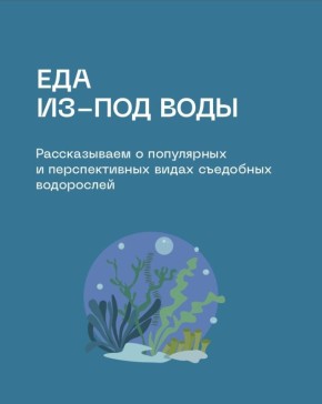 Вкусное будущее: съедобные водоросли, которые завоюют наши столы