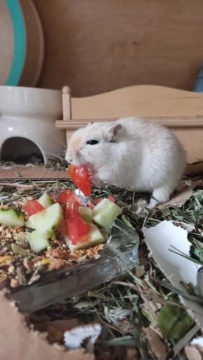 ���������� ����������� � ������ ��������