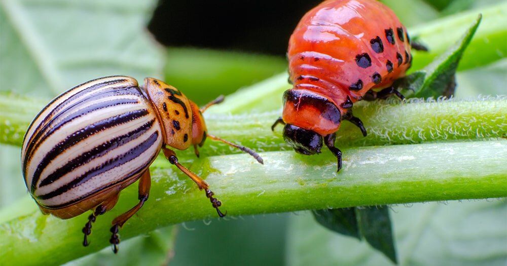 ��� �������� �������� ���������� �� ������������ ���� �� ����� �������