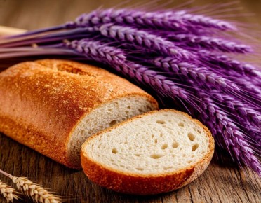 ���� �� ���������� �������: ��� � ������� ������� ��������� ���������� �������