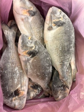 ���������� ������: ����, ������� ����������� ������