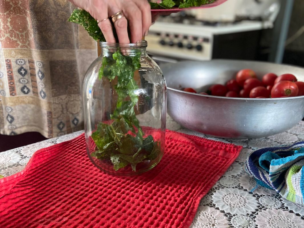 ������� ������� ������������ ��������� �� ����: ����������� ������ ��� �����