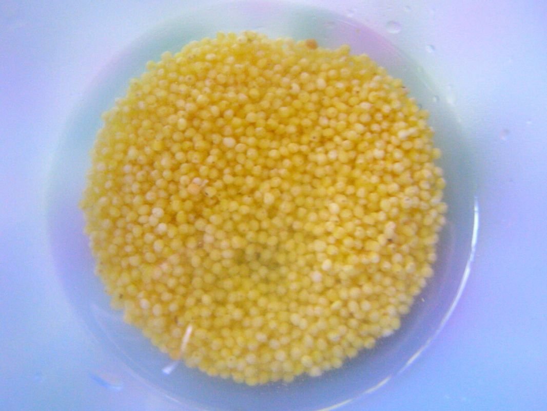 ����� ����� ������� ����: ������ ������ �� ��������� �����