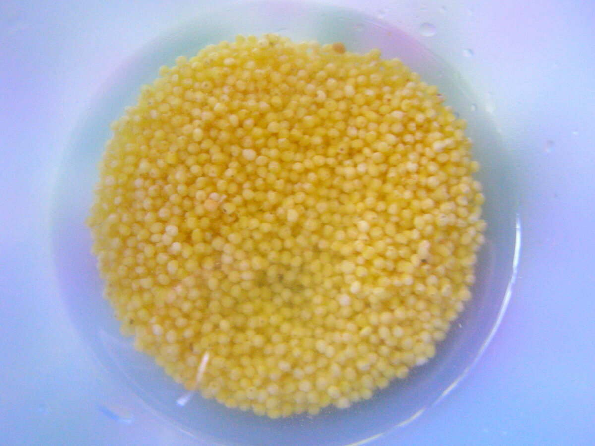 Новая жизнь пшенной каши: свежий взгляд на привычное блюдо