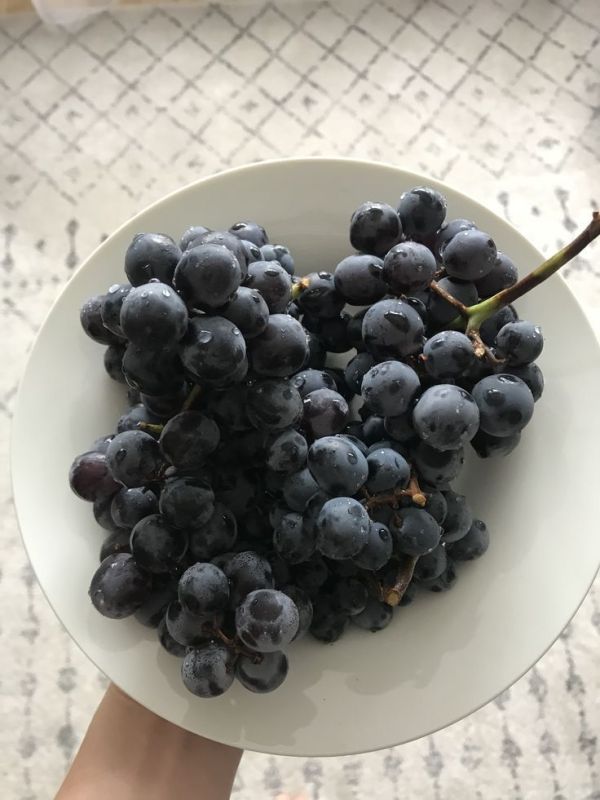 ������ � ����: ��� ��� ����� ��� ����������, ��� � ��������� ������