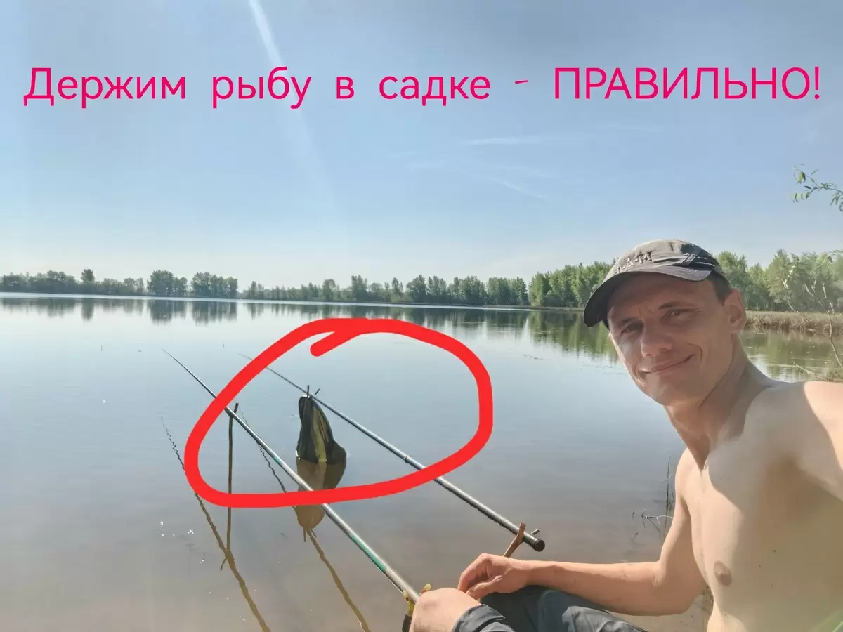 Как сохранить рыбу в жару: секреты эффективного садка