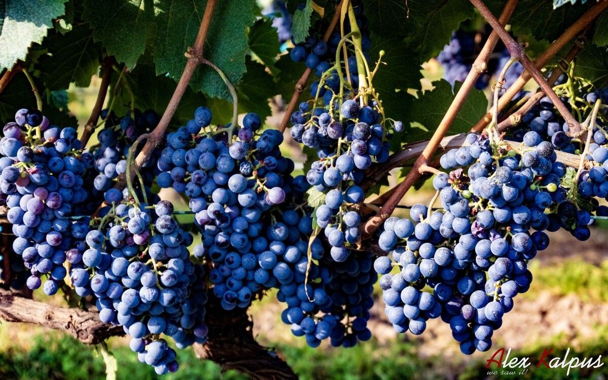 ���� ����: ���������� � ����� ���������� ������