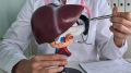 Персонализированная 3D?модель печени: новый инструмент для диагностики и лечения
