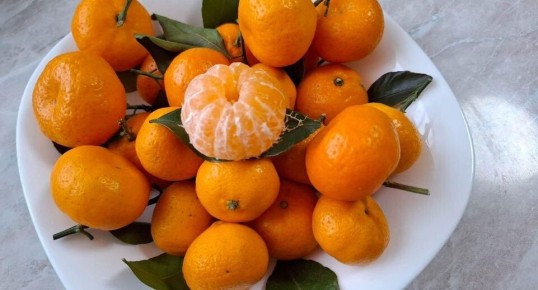 Секреты выбора и хранения мандаринов к Старому Новому году
