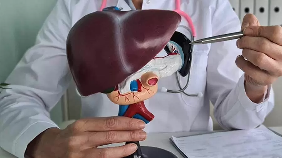 Персонализированная 3D?модель печени: новый инструмент для диагностики и лечения