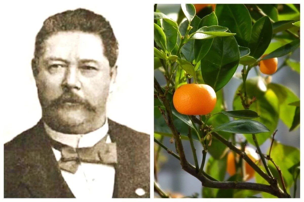 ��� ���� ������� ����� ��������� ������� � ��� ��� ����������