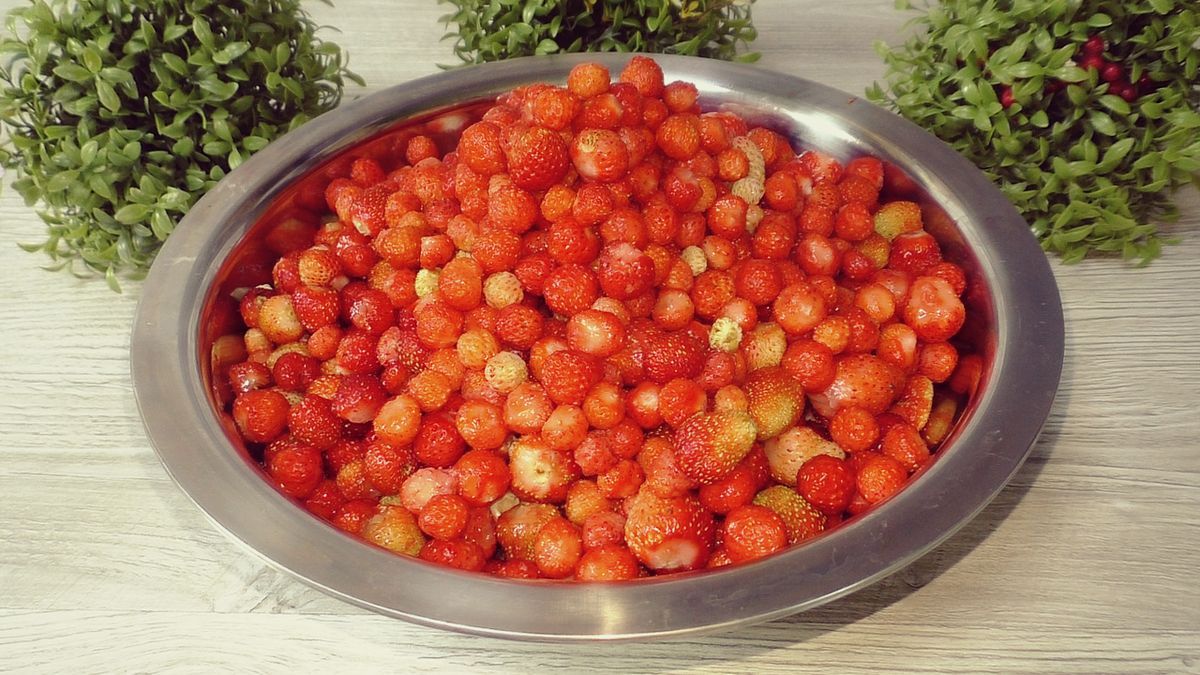 ���������� � ��� ����������� �����