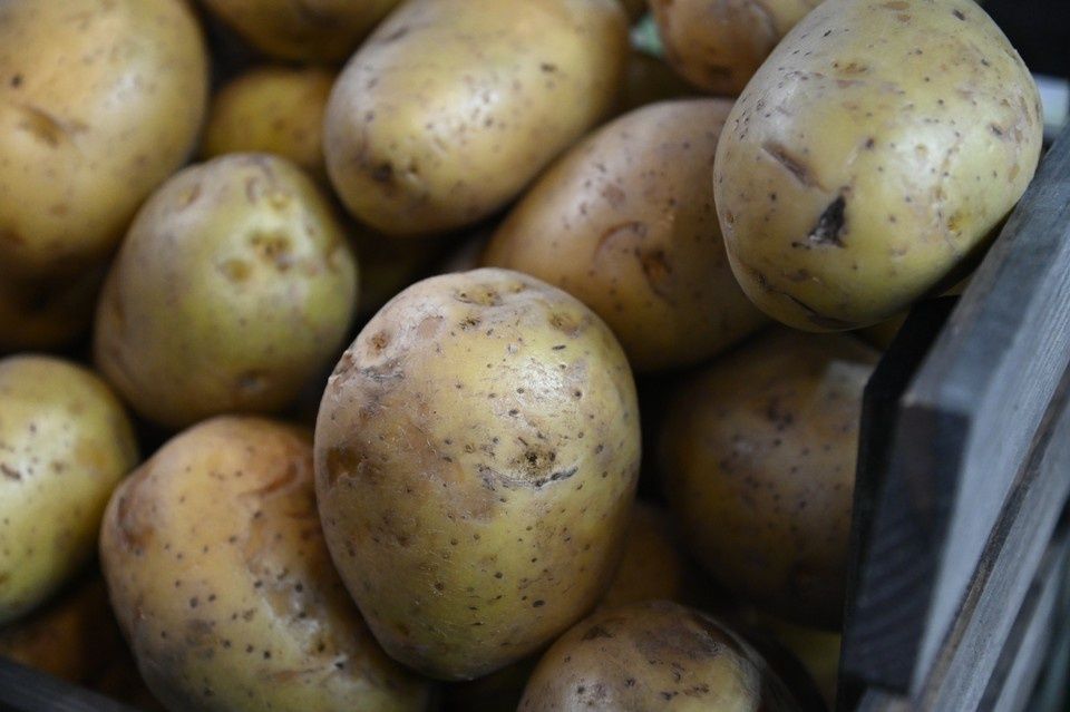 ���������: ����������� ������������ ��� ��������, � ������� ����� �����