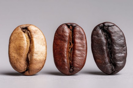 ��� ������� ��������� ����: ������� ������� � �������� �������