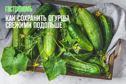 �������� � �����: ��� ��������� ������ �������