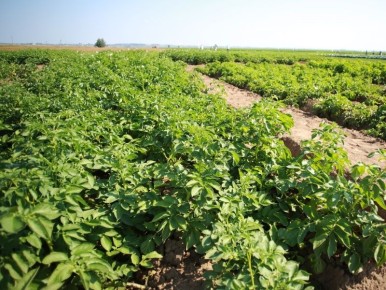 �������� ��� �� ��������� � �����: ������� � ����������� � 2025 ����