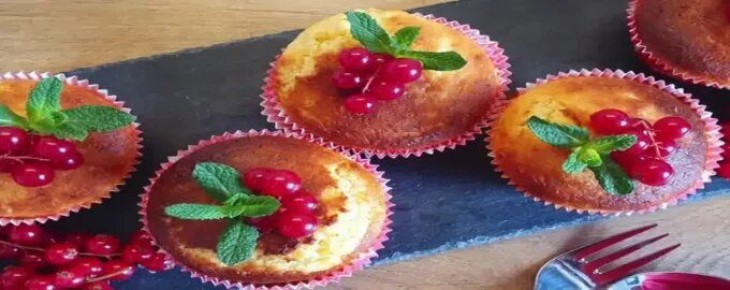 ��������������� ����-�������: 11 ������� �������� ��� ������� ���������