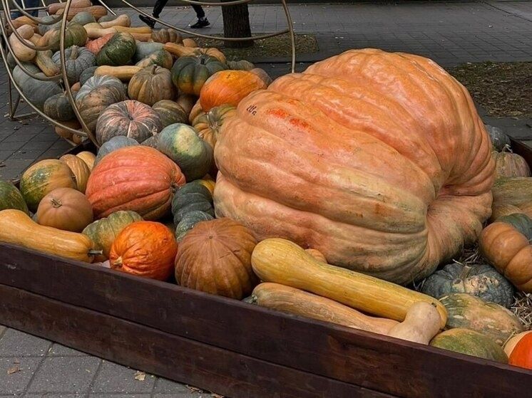 ��������� ��������� � ���������: ������, ������� � ������ ��������������