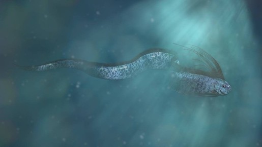 ���������� ����� ������� ���� ��������� �� ������� ��������