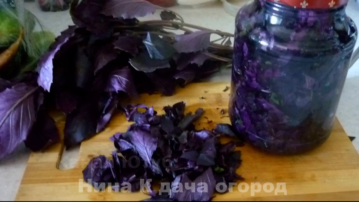 Приготовление ароматного базиликового масла на зиму