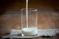 Натуральные альтернативы лактозосодержащим продуктам: что выбрать?
