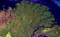 Дельта и эстуарий: как река создает свои уникальные устья