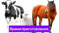 Как правильно варить и жарить мясо: идеальные тайминги для вкусных блюд