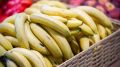 Продукты для мощного иммунитета: что стоит включить в рацион